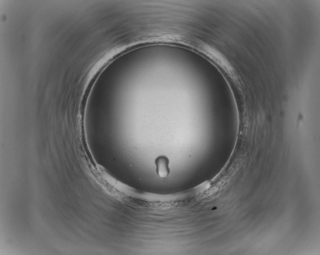 X0000067871332200604201208