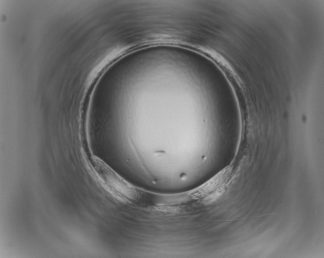 X0000067871333200604201208