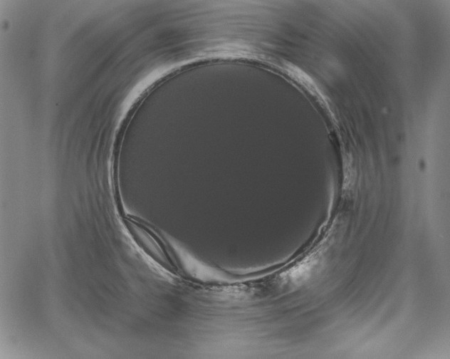 X0000067871334200604201208