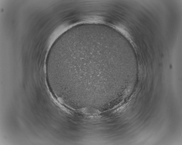 X0000067871335200604201208