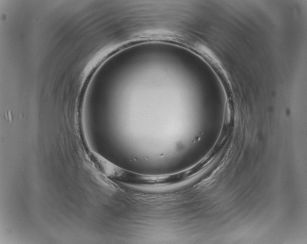 X0000067871336200604201208