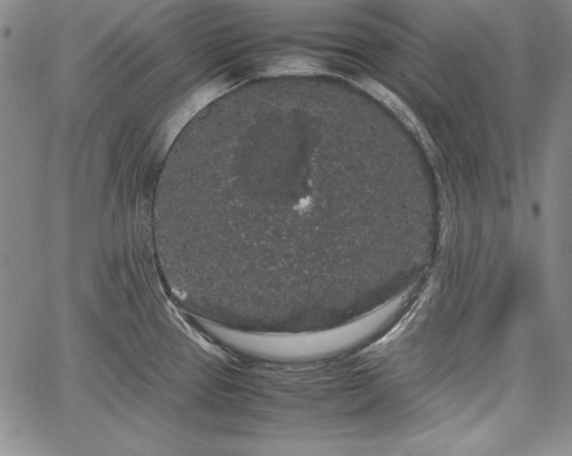 X0000067871337200604201208