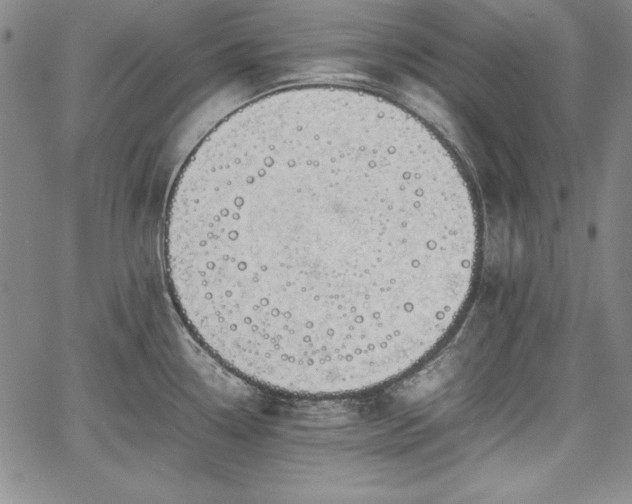 X0000067871338200604201208