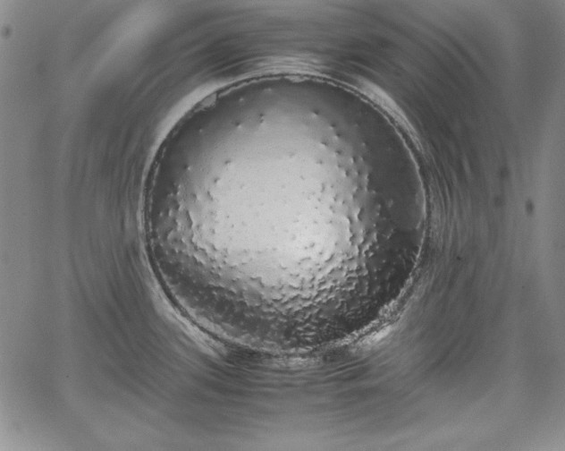 X0000067871339200604201208