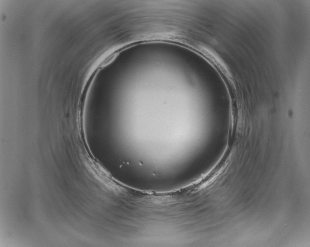 X0000067871340200604201208