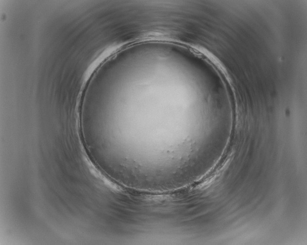 X0000067871341200604201208