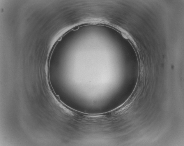 X0000067871343200604201208