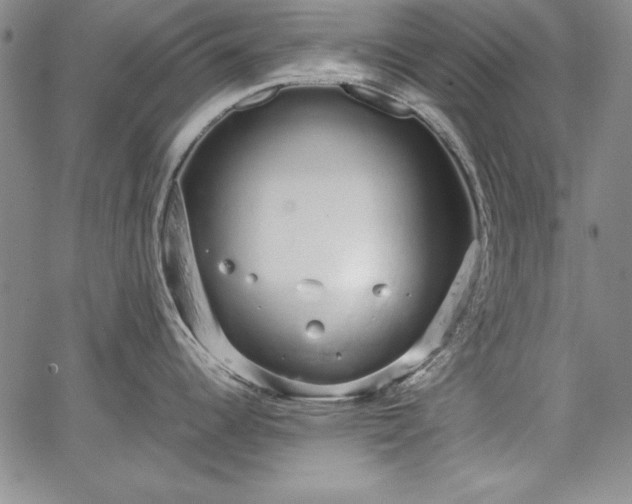 X0000067871344200604201208