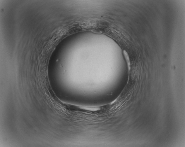 X0000067871345200604201207