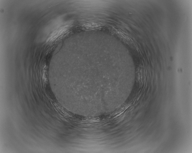 X0000067871346200604201207