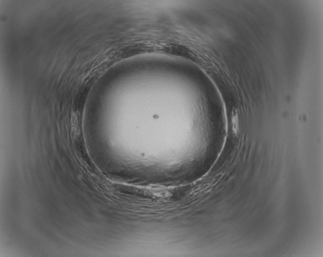 X0000067871347200604201207