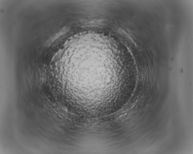 X0000067871350200604201207