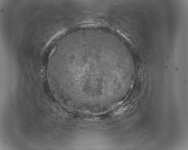 X0000067871351200604201207