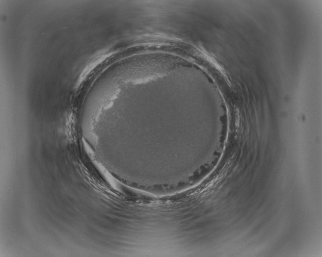 X0000067871352200604201207