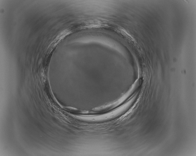 X0000067871353200604201207