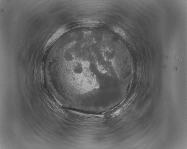 X0000067871354200604201207