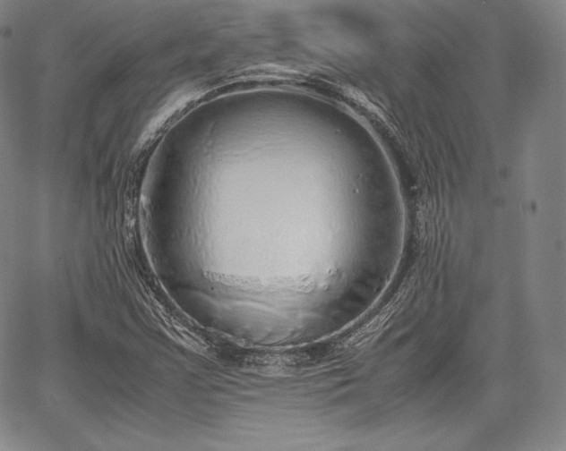 X0000067871355200604201207