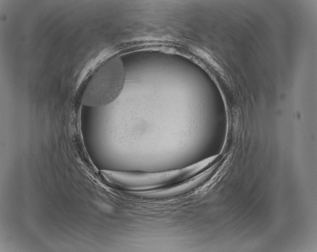 X0000067871357200604201207