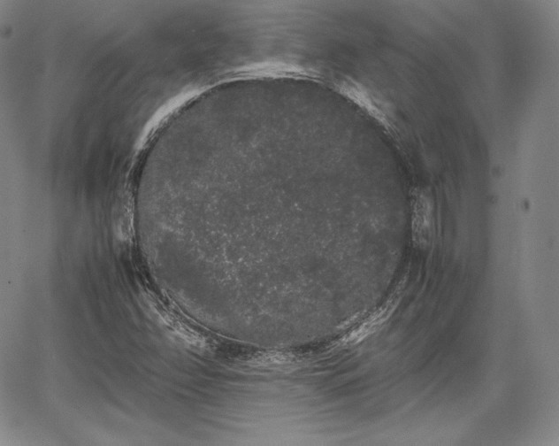 X0000067871358200604201207