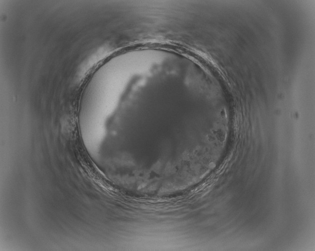 X0000067871359200604201207