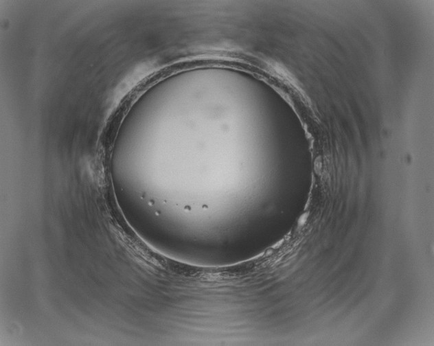 X0000067871360200604201207