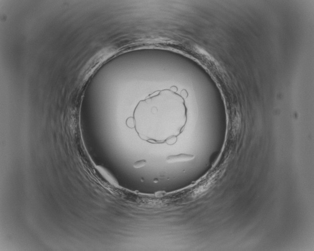 X0000067871361200604201207