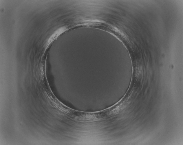 X0000067871362200604201207