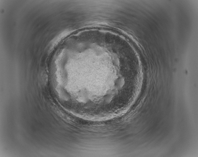 X0000067871363200604201207