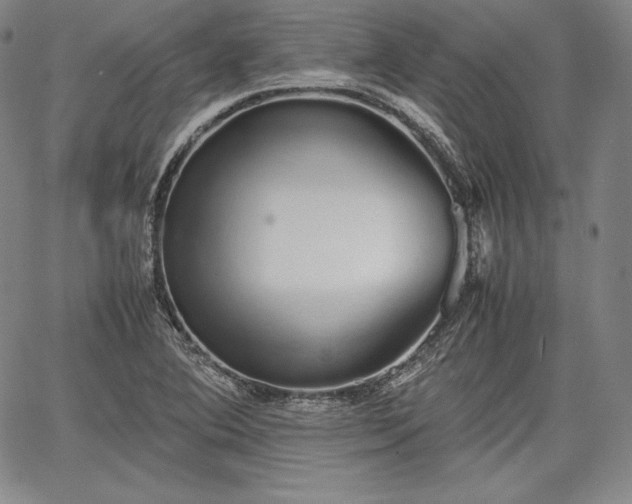 X0000067871364200604201207