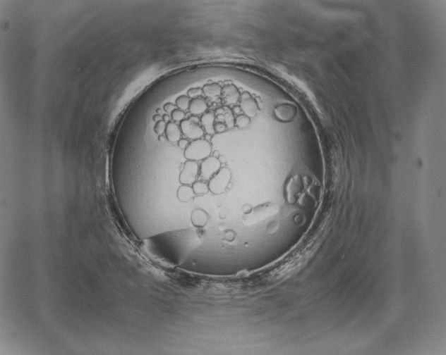 X0000067871365200604201207