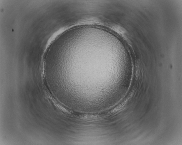 X0000067871366200604201207