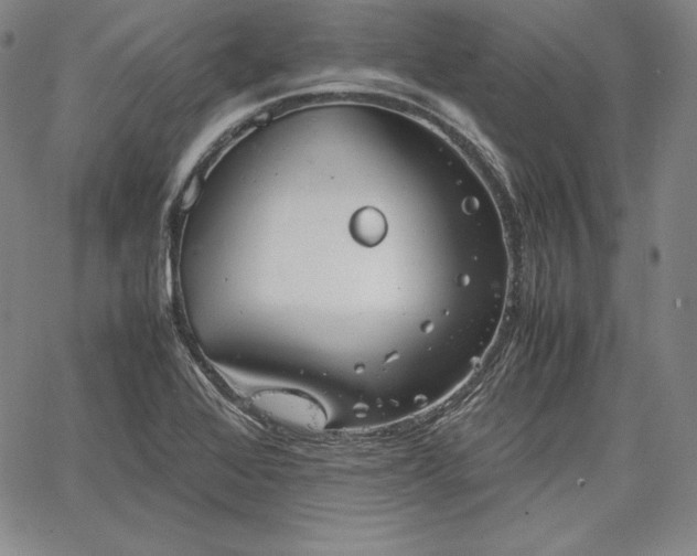 X0000067871368200604201207