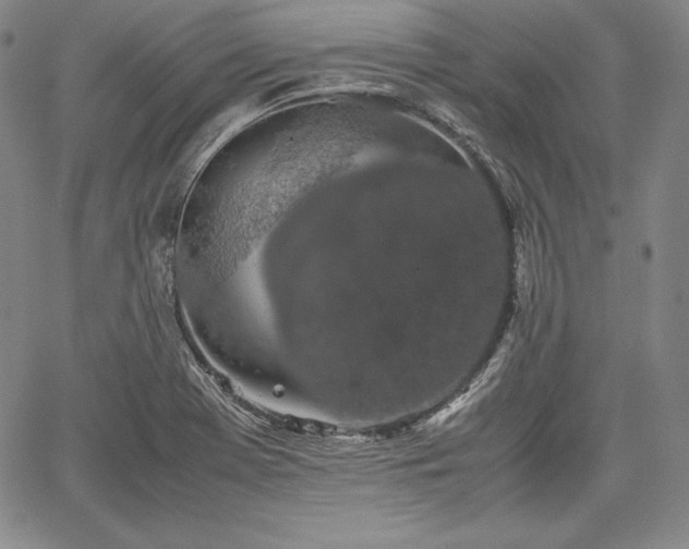 X0000067871369200604201207