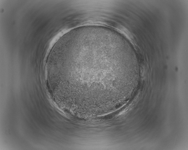 X0000067871371200604201207