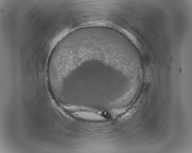 X0000067871373200604201207