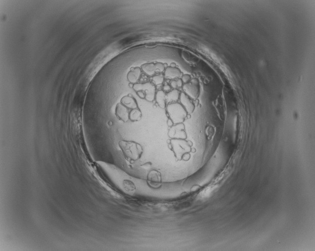 X0000067871377200604201207