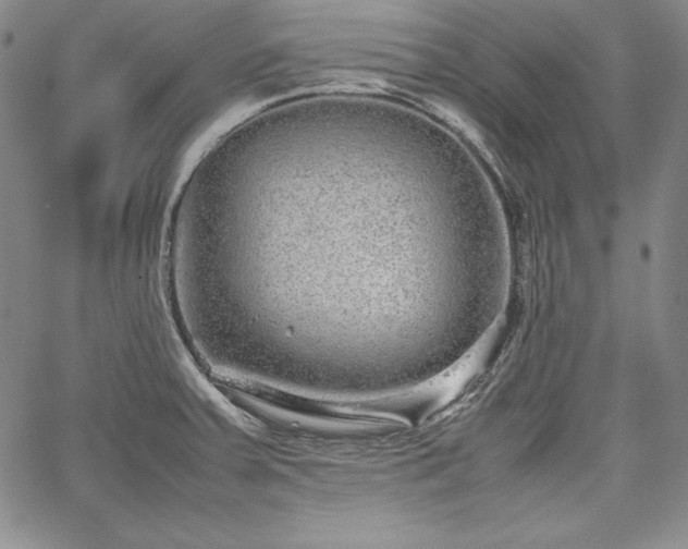 X0000067871379200604201207