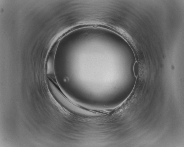 X0000067871380200604201207