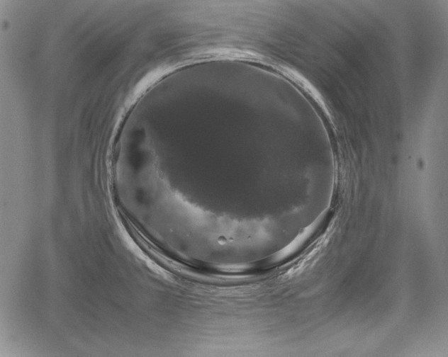 X0000067871381200604201207