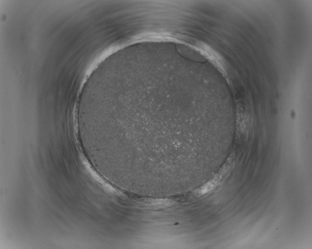 X0000067871382200604201207