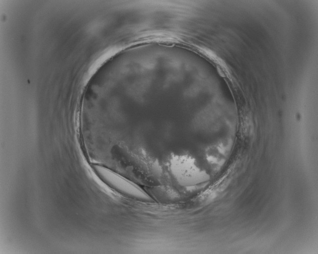 X0000067871383200604201207