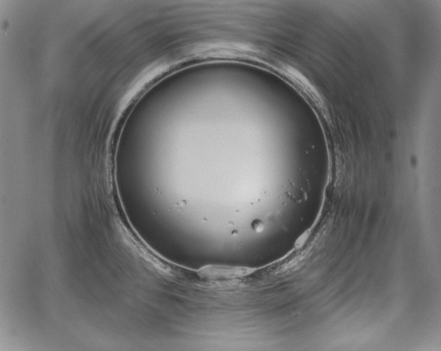 X0000067871384200604201207