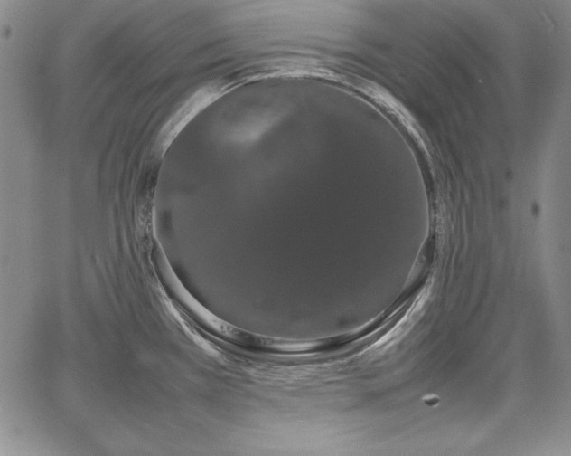 X0000067871385200604201207