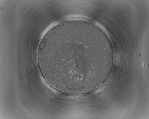 X0000067871386200604201207