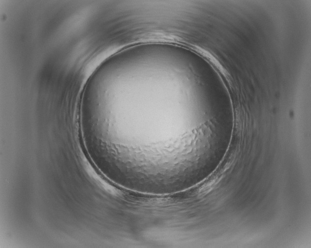 X0000067871387200604201207