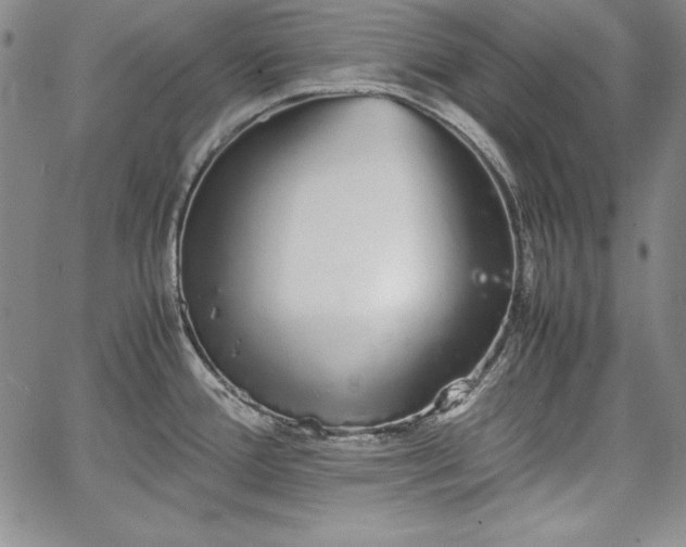 X0000067871388200604201207