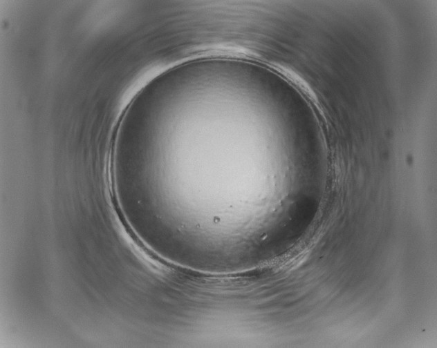 X0000067871391200604201207