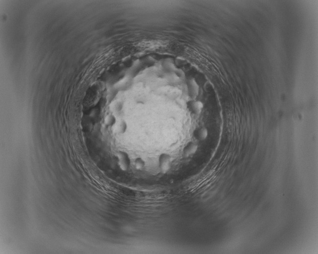 X0000067871393200604201206