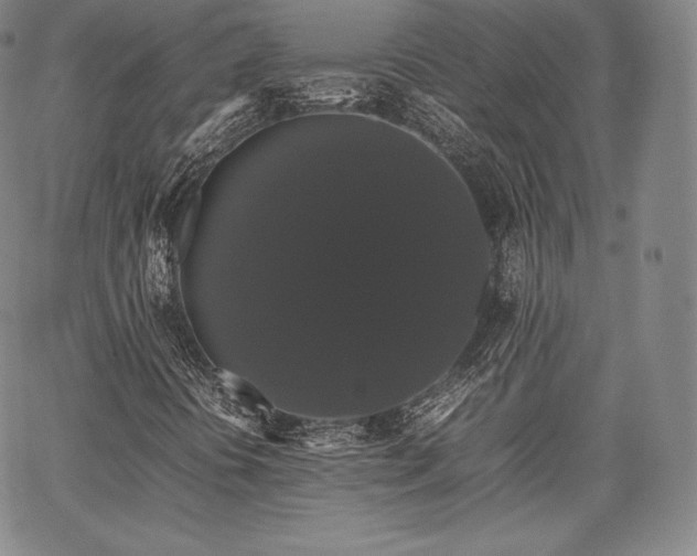 X0000067871394200604201206