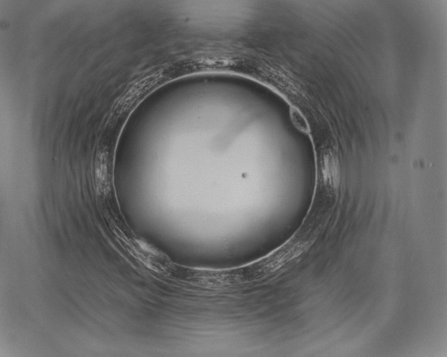 X0000067871396200604201206